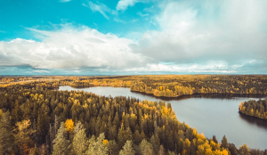 Aerial photo of trees near a river in Hämeenlinna, Finland