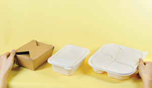Person holding a box and two takeout containers