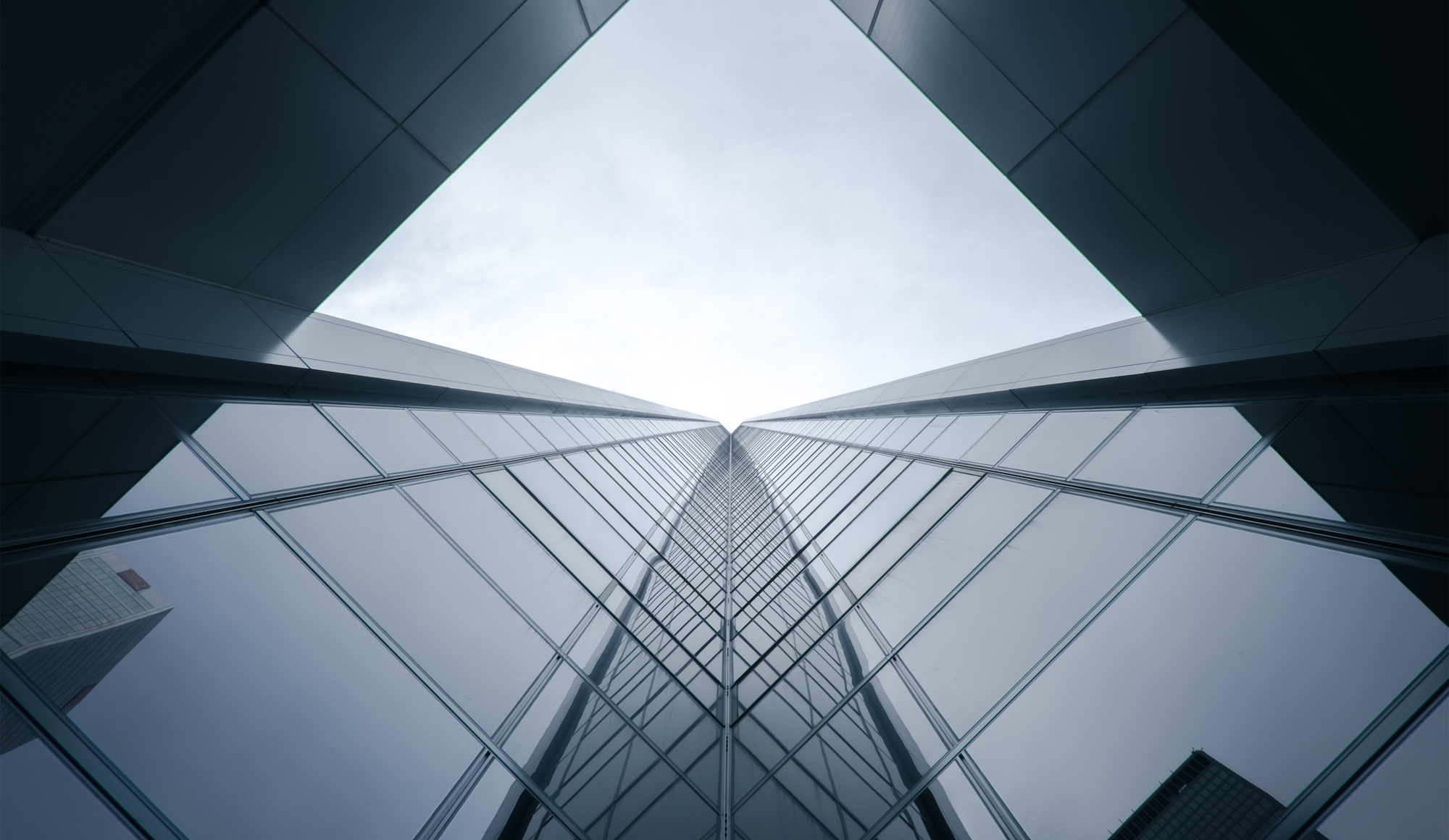 Read more about the article Asiakastarina: Muotolevy – kansainvälinen kauppa onnistuu korona-aikana