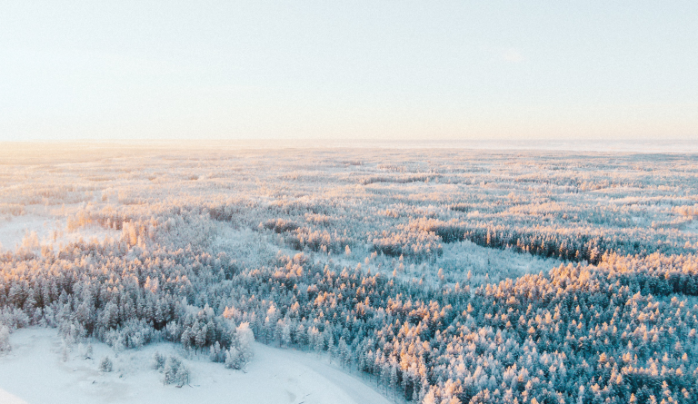 Read more about the article Business Finlandin liiketoiminnan kehitysrahoitus häiriötilanteissa