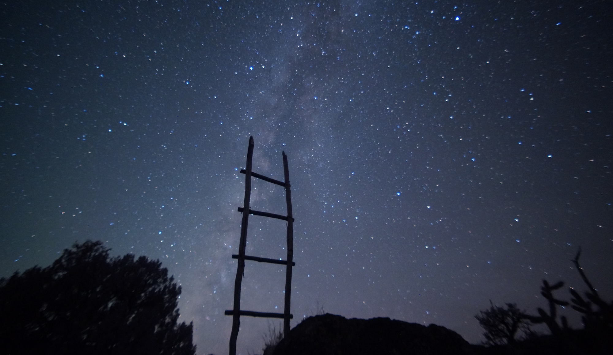 Read more about the article Asiakastarina: Suomi-Tikas – markkinaselvitykset johtivat tytäryhtiön perustamiseen