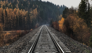 Railway between trees in Whitefish, United States