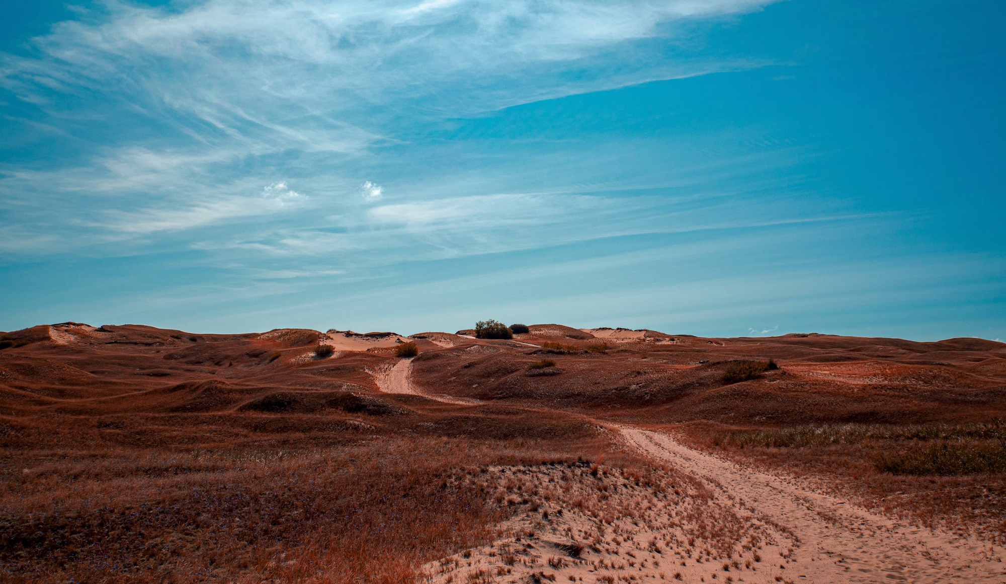 Read more about the article Asiakastarina: Nordic Drones – uutta kansainvälistä liiketoimintaa