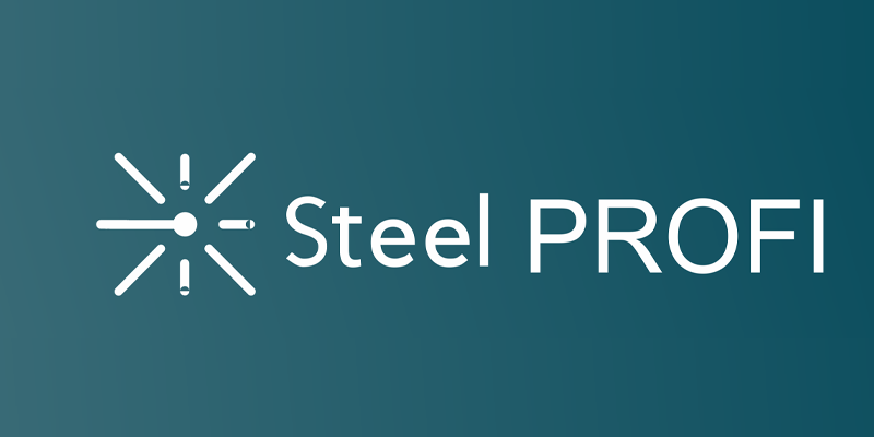 Steel PROFI